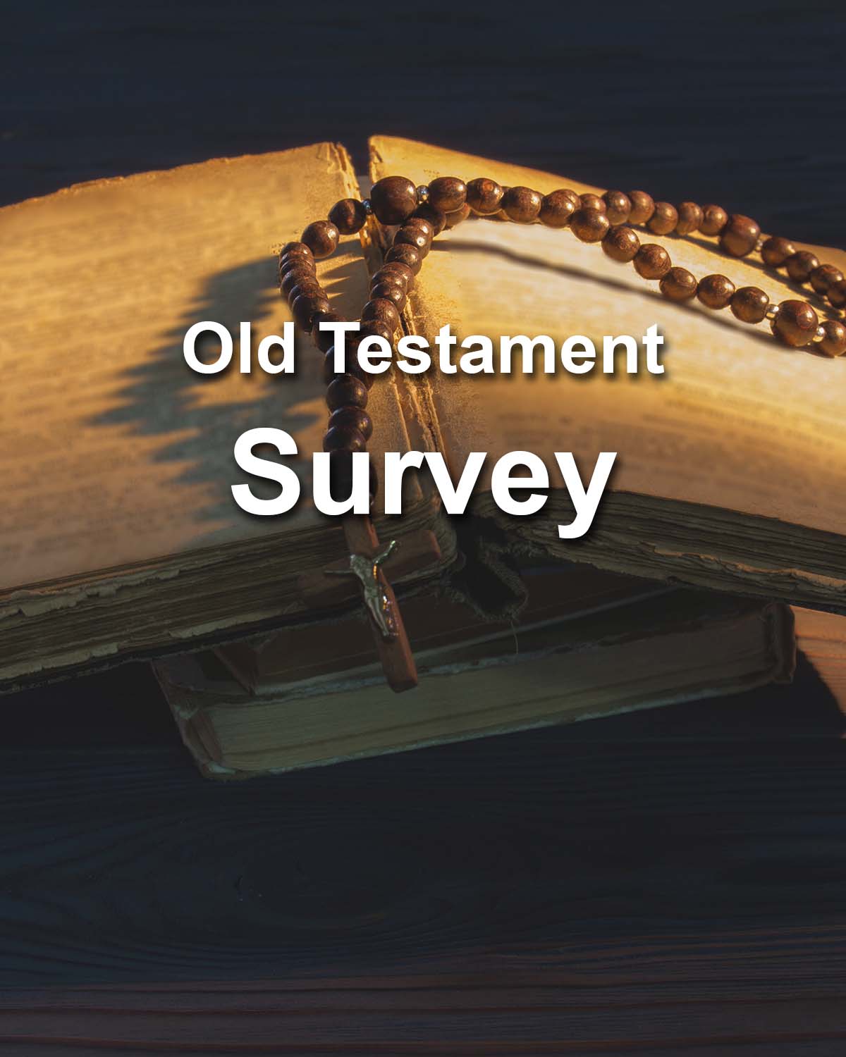 Old Testament Survey