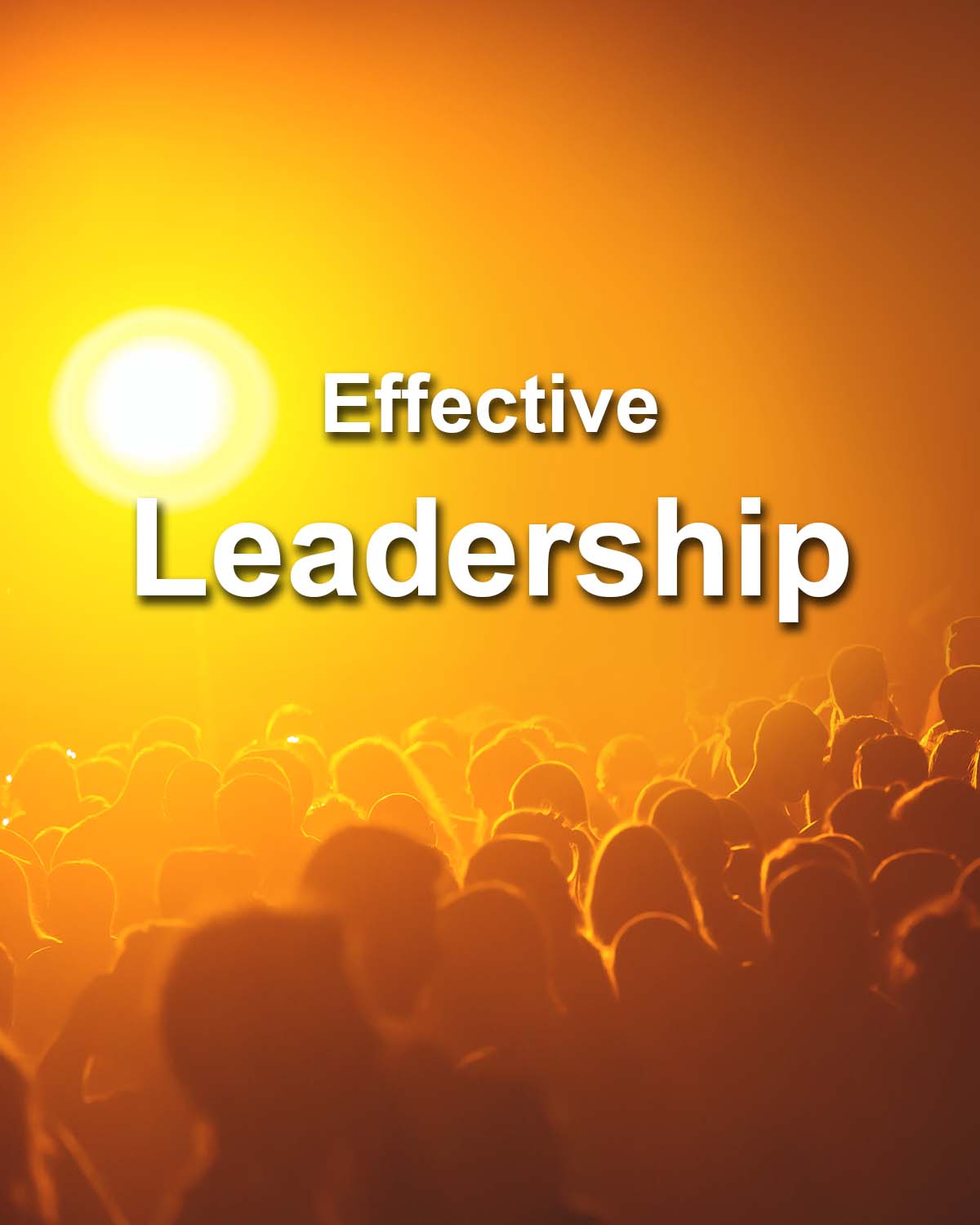 Effective Leadership