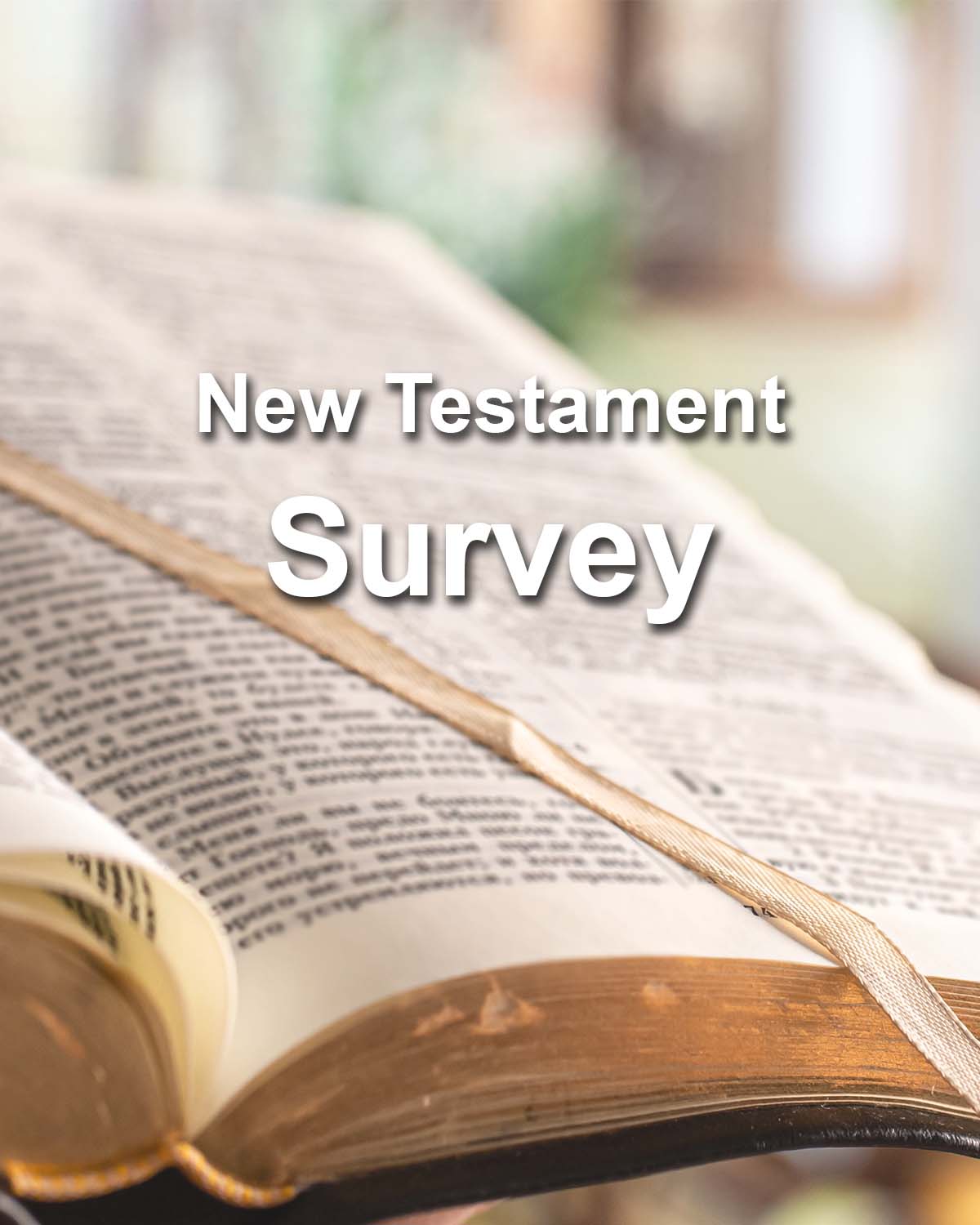 New Testament Survey